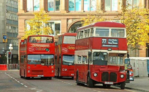 Dueling Bus Cos.